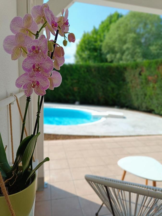 Picnic Room And Pool Castelnuovo del Garda Exterior photo